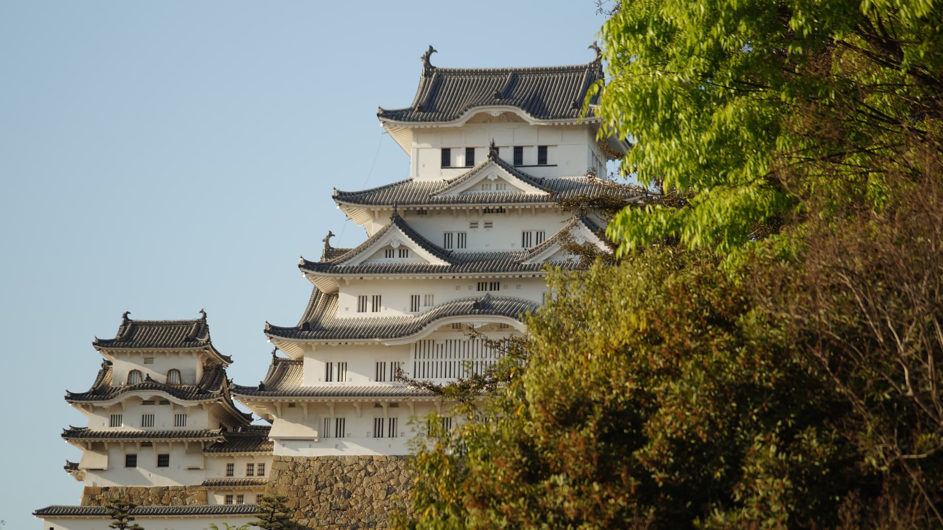 White keep of Himeji Castle framed by green leaves
